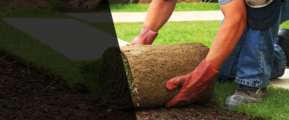 Citronelle Landscapers